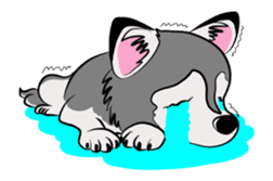 Siberian Husky named Ice sticker #13751086