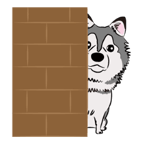 Siberian Husky named Ice sticker #13751091