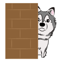 Siberian Husky named Ice sticker #13751091