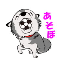 Siberian Husky named Ice sticker #13751093