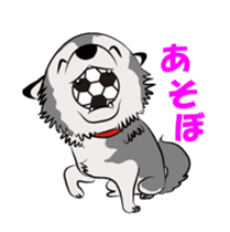 Siberian Husky named Ice sticker #13751093