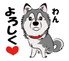 Siberian Husky named Ice sticker #13751097