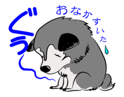 Siberian Husky named Ice sticker #13751100