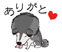 Siberian Husky named Ice sticker #13751101