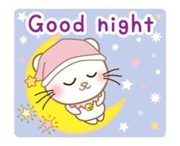 Panda cat, Pan'nya everyday can use sticker #13751456