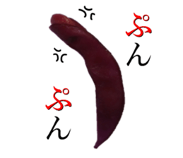 Green soybean 1 sticker #13751703