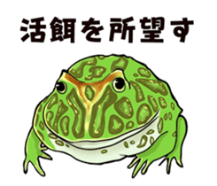 Freshwater Paradise sticker #13753367