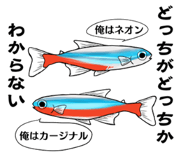 Freshwater Paradise sticker #13753382