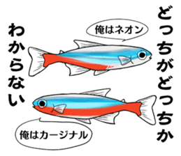 Freshwater Paradise sticker #13753382