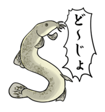 Freshwater Paradise sticker #13753383