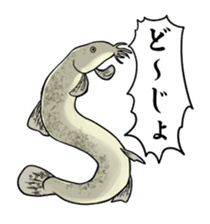 Freshwater Paradise sticker #13753383