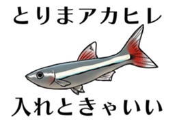 Freshwater Paradise sticker #13753391