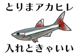 Freshwater Paradise sticker #13753391