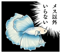 Freshwater Paradise sticker #13753393