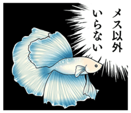 Freshwater Paradise sticker #13753393