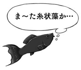 Freshwater Paradise sticker #13753395