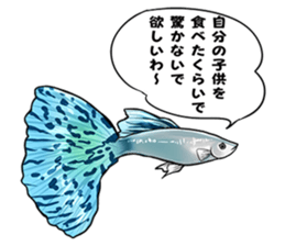 Freshwater Paradise sticker #13753400