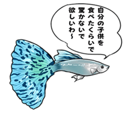 Freshwater Paradise sticker #13753400