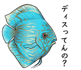 Freshwater Paradise sticker #13753402