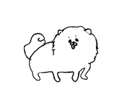I am Pomeranian(white) sticker #13753606