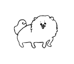 I am Pomeranian(white) sticker #13753606