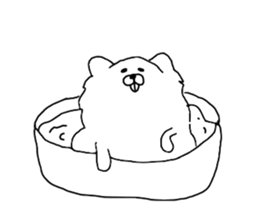 I am Pomeranian(white) sticker #13753634