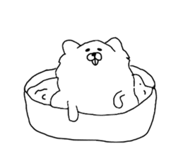 I am Pomeranian(white) sticker #13753634