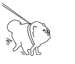 I am Pomeranian(white) sticker #13753638