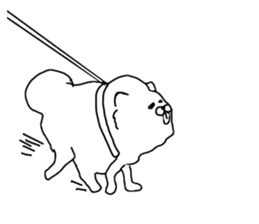 I am Pomeranian(white) sticker #13753638