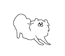 I am Pomeranian(white) sticker #13753639
