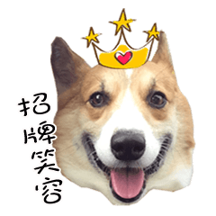 Bou~ Corgi Miluku.