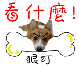 Bou~ Corgi Miluku. sticker #13757079