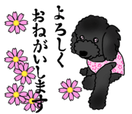 COO-chan: Black Toy Poodle sticker #13757390