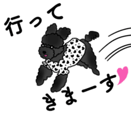 COO-chan: Black Toy Poodle sticker #13757391