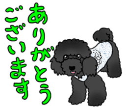 COO-chan: Black Toy Poodle sticker #13757393