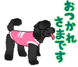 COO-chan: Black Toy Poodle sticker #13757394