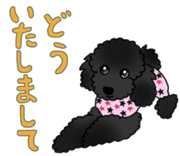 COO-chan: Black Toy Poodle sticker #13757397