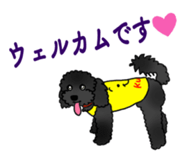 COO-chan: Black Toy Poodle sticker #13757398