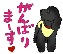COO-chan: Black Toy Poodle sticker #13757399