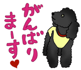 COO-chan: Black Toy Poodle sticker #13757399