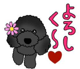 COO-chan: Black Toy Poodle sticker #13757402