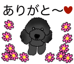 COO-chan: Black Toy Poodle sticker #13757403