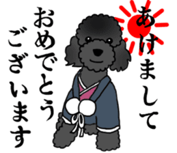 COO-chan: Black Toy Poodle sticker #13757406