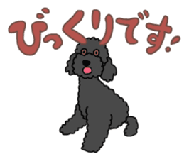 COO-chan: Black Toy Poodle sticker #13757407