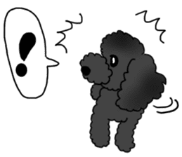 COO-chan: Black Toy Poodle sticker #13757411