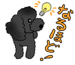 COO-chan: Black Toy Poodle sticker #13757412