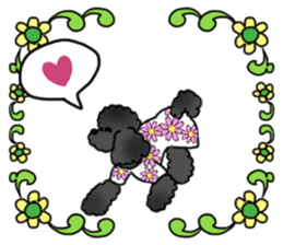 COO-chan: Black Toy Poodle sticker #13757415