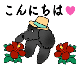 COO-chan: Black Toy Poodle sticker #13757416