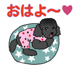 COO-chan: Black Toy Poodle sticker #13757417