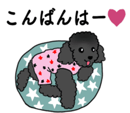 COO-chan: Black Toy Poodle sticker #13757418